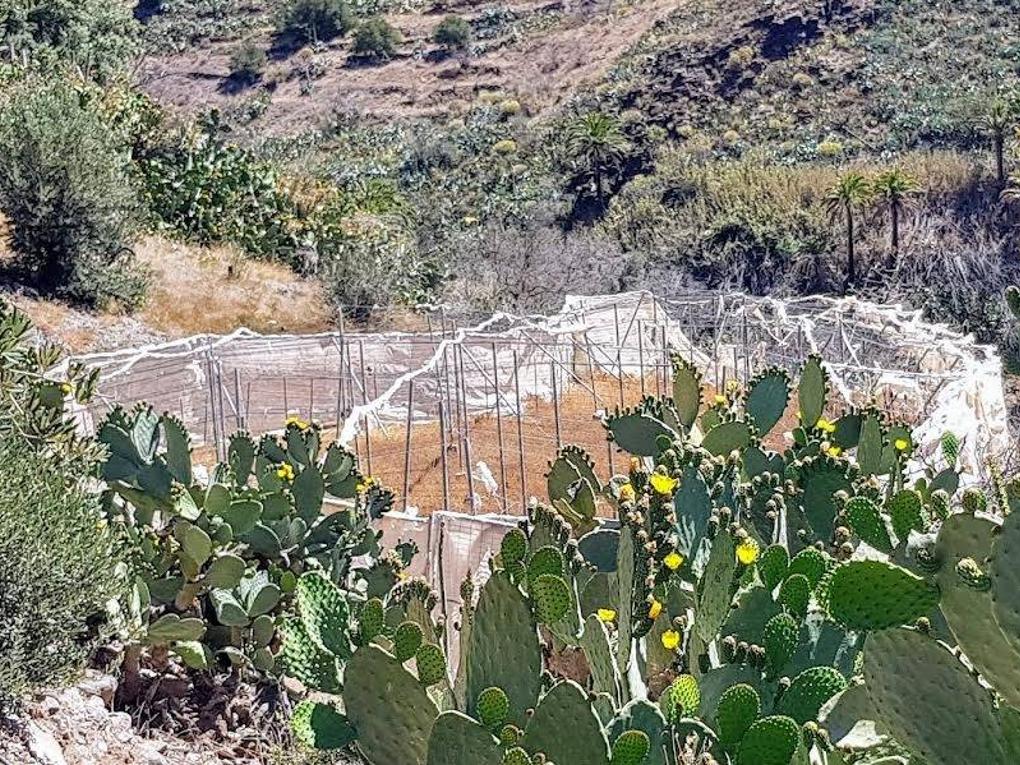 Berg zu kaufen in  San Bartolomé Interior, Gran Canaria   : Ref 0092-00459