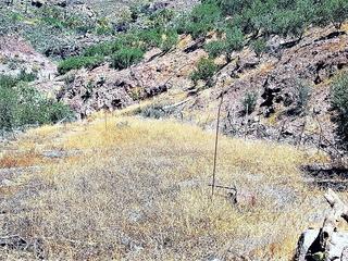 Berg zu kaufen in  San Bartolome de Tirajana, Gran Canaria   : Ref PM0033-3519