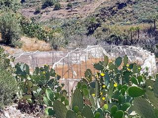 Berg zu kaufen in  San Bartolome de Tirajana, Gran Canaria   : Ref PM0033-3519