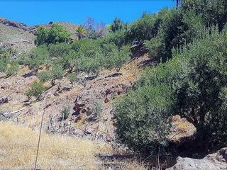 Mountain for sale in  San Bartolome de Tirajana, Gran Canaria   : Ref PM0033-3519