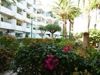 Appartement te koop in  Sonnenland, Gran Canaria  met zeezicht : Ref OH0033-3858