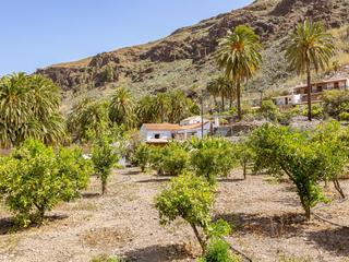 House with land  for sale in  Fataga, Gran Canaria  : Ref 05414