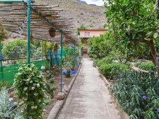 Jardín : Finca Urbana  en venta en  Cercados de Espino, Gran Canaria  : Ref S0065