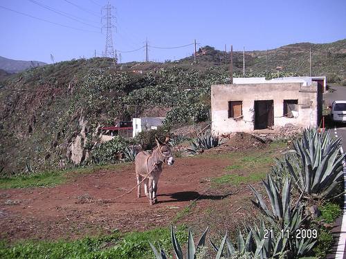 San Mateo, Tejeda, Valsequillo, Santa Brigida