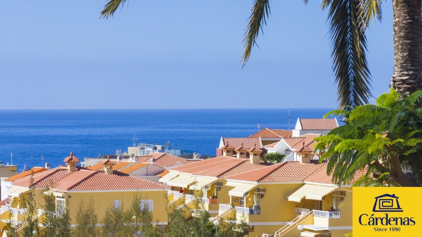Houses, palms and sea view